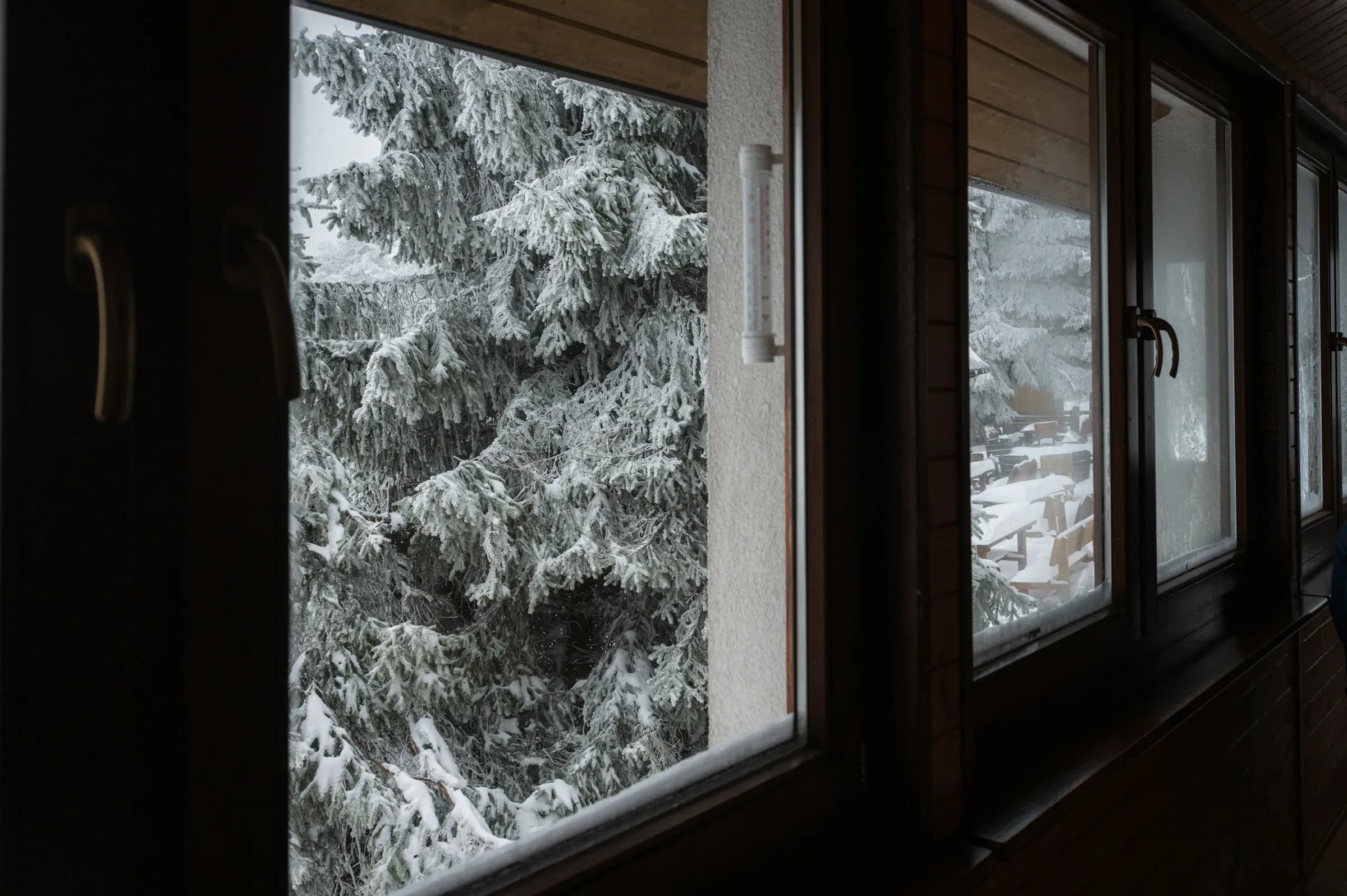 Snow falling on the forest outside a window